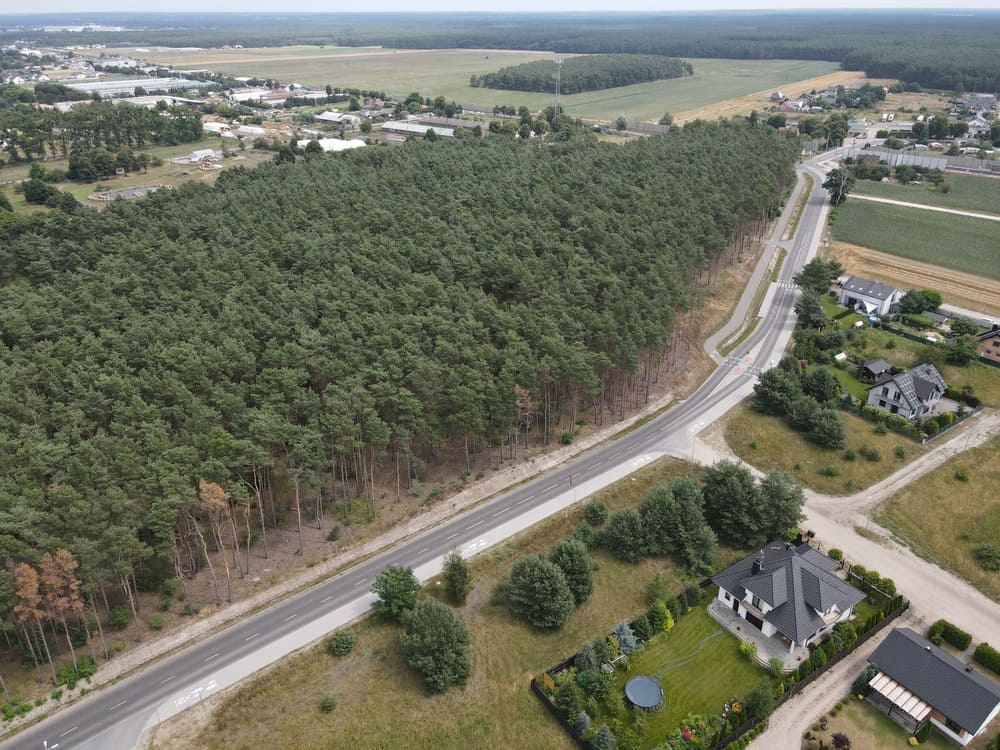 Aldrog DRUŻYNA POZNAŃSKA